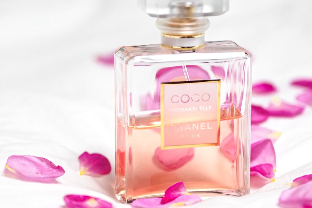 Oud Perfume Guide: Why Dubai Oud & Purple Oud Last Longer